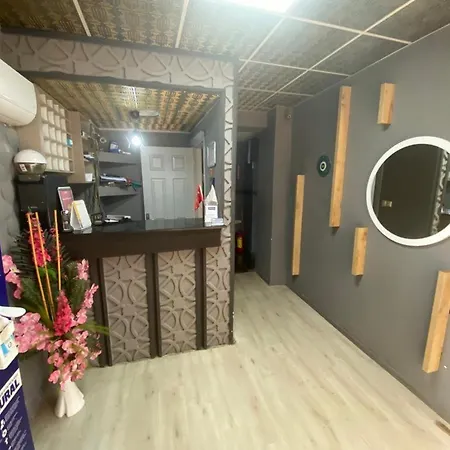 Asus Palmiye Adana