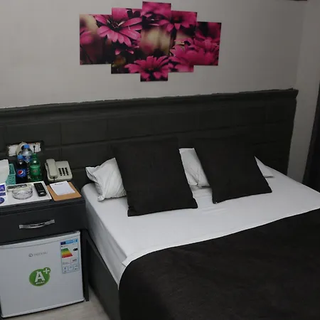 Asus Palmiye 3* Adana