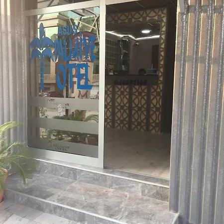 Asus Palmiye 3* Adana